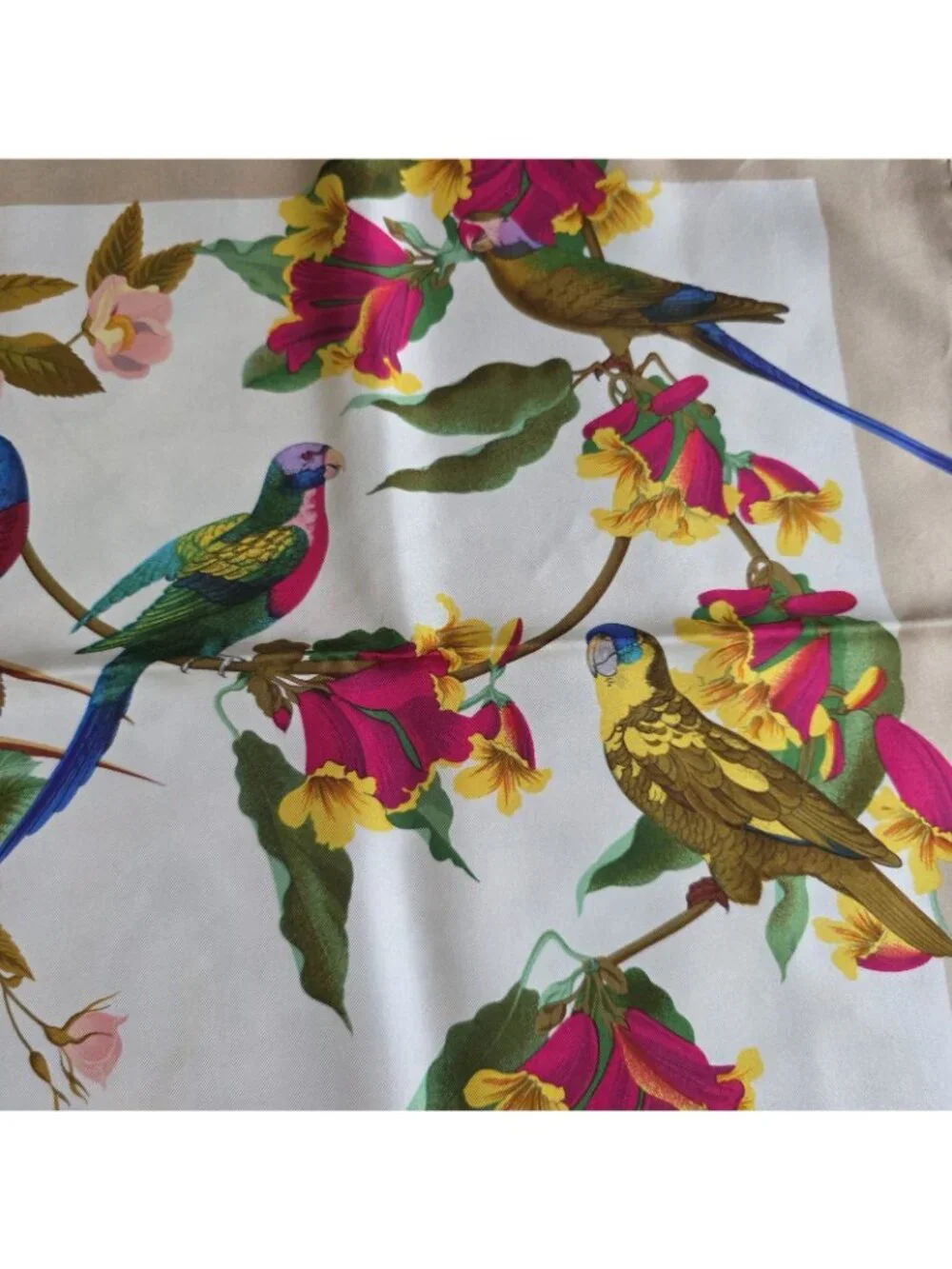 Vtg Gucci Multicolored Parrot Bird Silk Floral Print Hand Rolled Scarf 33